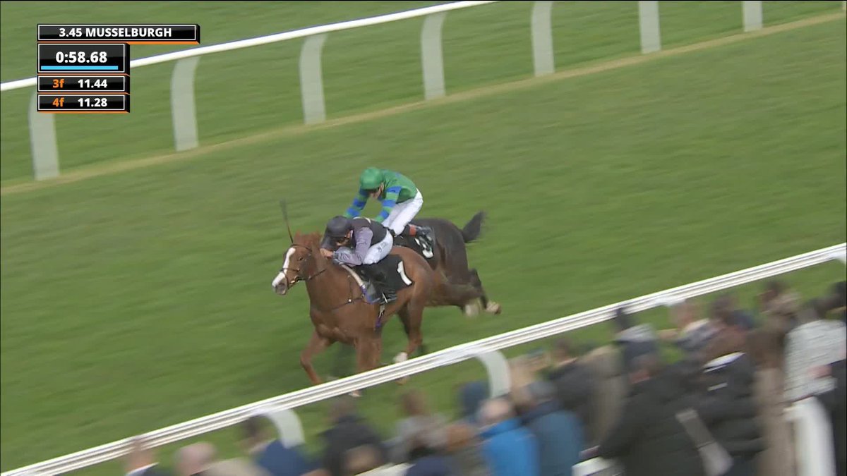 Two from two in eight days at Musselburgh! 🥇🥇 Adonius wins the Sky Bet Club British EBF Novice Stakes! #ITVRacing | Rebecca Menzies Racing