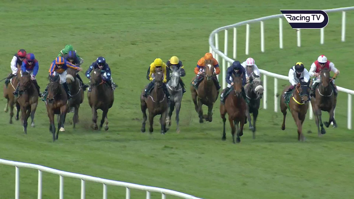 True Love - now a single-figure price for the 1,000 Guineas after this impressive BallylinchStud Priory Belle Stakes success 🔥 Already a Grade 1 winner, there are surely more big prizes in her this term. Coolmore
