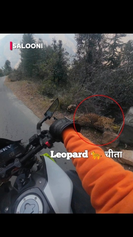 Instead of accelerating he stopped and hooted?
