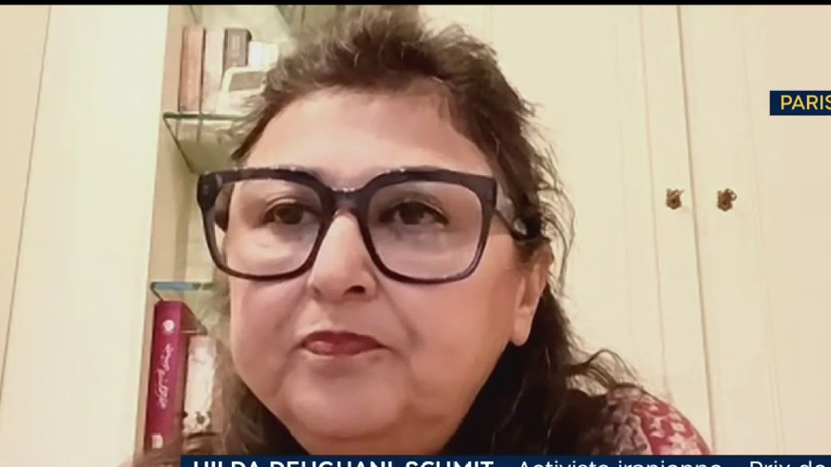 "J’ai l’impression que la France se met dans la même situation qu’à la fin des années 1930, avant la Seconde Guerre mondiale, et j’en ai honte" Hilda Dehghani-Schmit, activiste iranienne