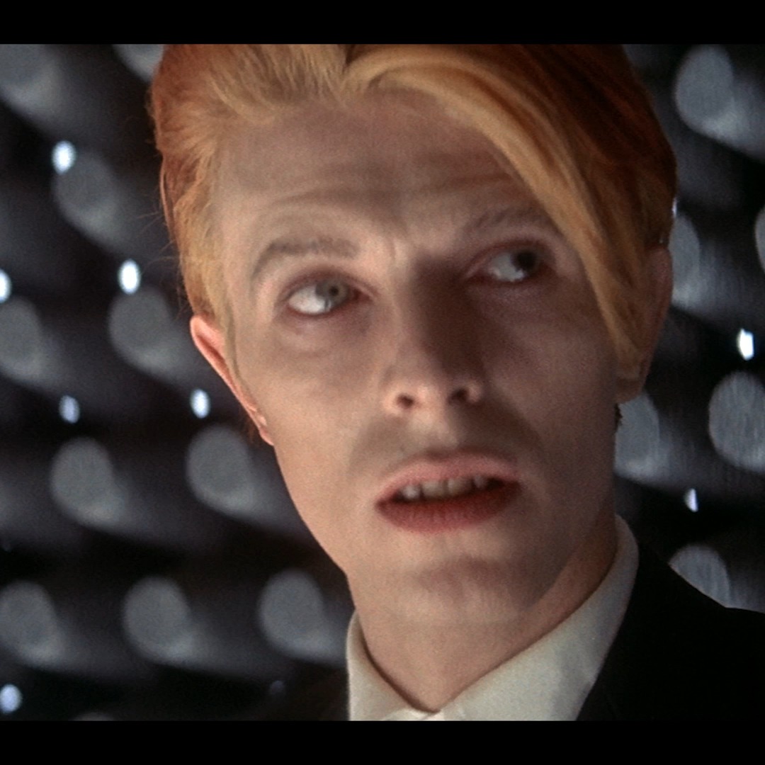 On Criterion Channel, watch Nicolas Roeg's THE MAN WHO FELL TO EARTH (1976) + enjoy a commentary track by Roeg, David Bowie, and Buck Henry! Plus! Check out interviews with actors Candy Clark and Rip Torn, costume designer May Routh, and production designer Brian Eatwell — and much more as part of our Out-of-Print Criterion editions collection!