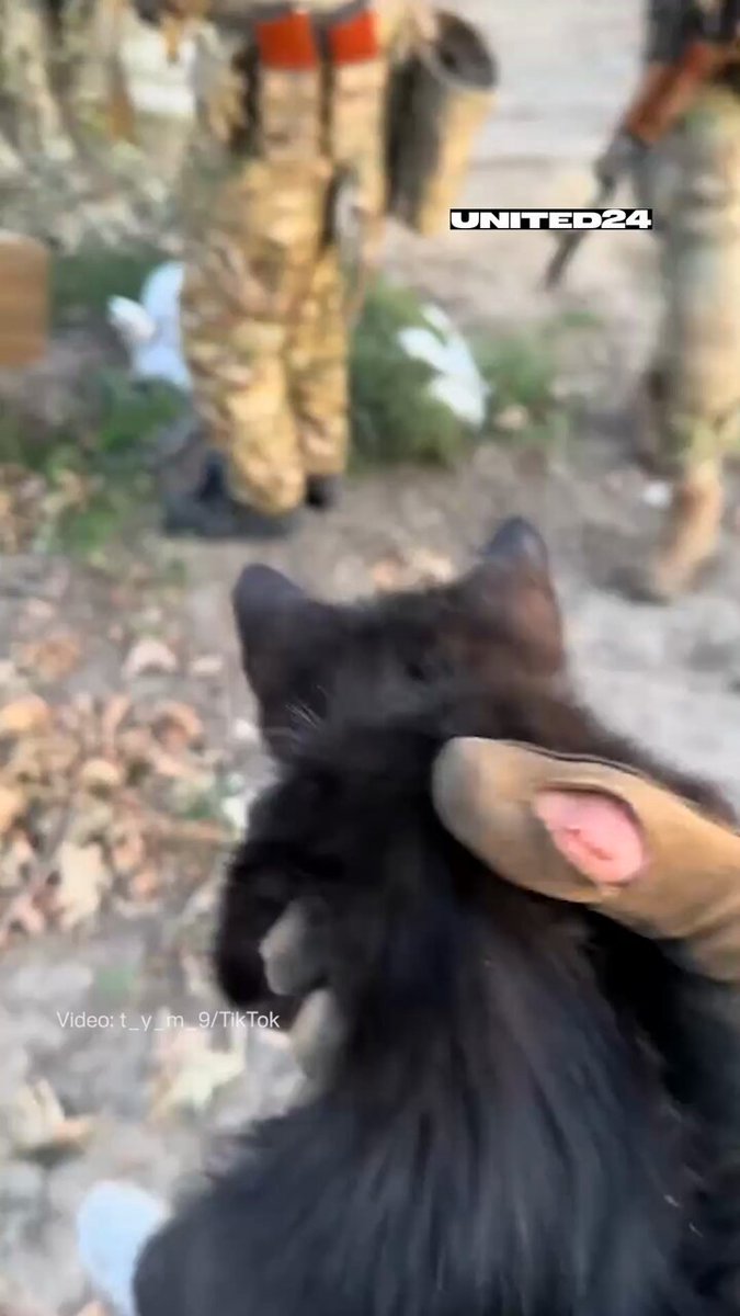 Ukrainian soldiers rescue kitten from frontline.