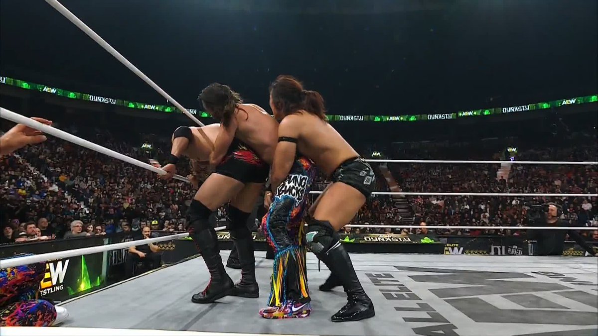 You will never see this kind of wrestling at WrestleMania