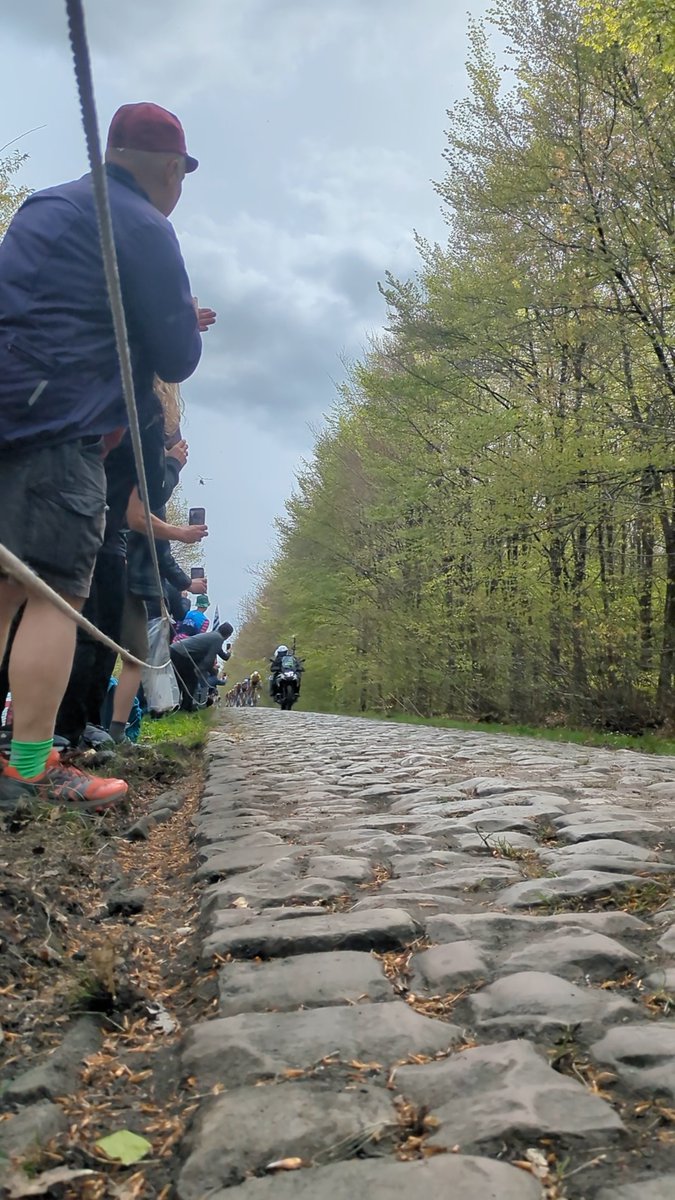 It’s scary how fast the riders take the savage Forest of Arenberg 😳🌳