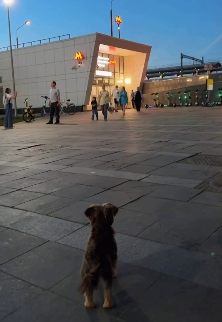 The best kind of welcome..🐕🐾😍