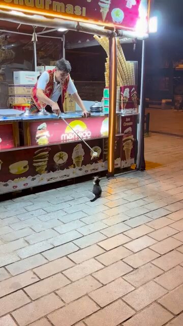 Not even cats are safe from the Turkish vendors' tomfoolery.