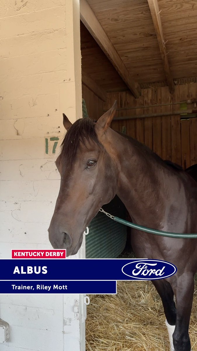 Kentucky Derby contender Albus has arrived at Churchill Downs! 🌹