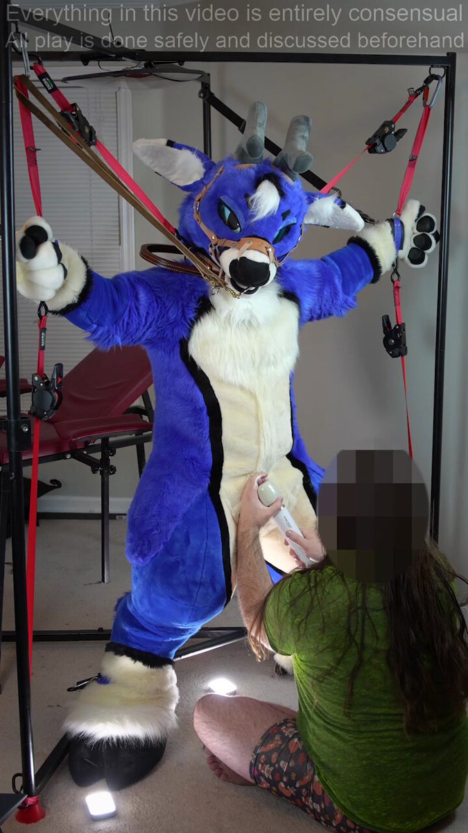 CW: CNC Trussed up and made into livestock, pleas for mercy ignored while wringing every cent of value from his body! And when it hits, he knows his old life is over, and his new role as livestock is permanent... BlueFucks #furry #fursuit #murrsuit #NSFW #MurrsuitMonday