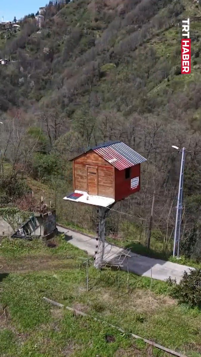 10 yaşında kurduğu ağaç ev hayalini 25 yıl sonra gerçeğe dönüştürdü. Rizeli Resul Bilen’in 7 metre yükseklikteki ağaç evi…
