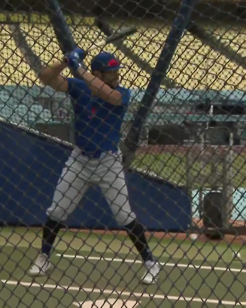 Tommy Pham is back with the Mets