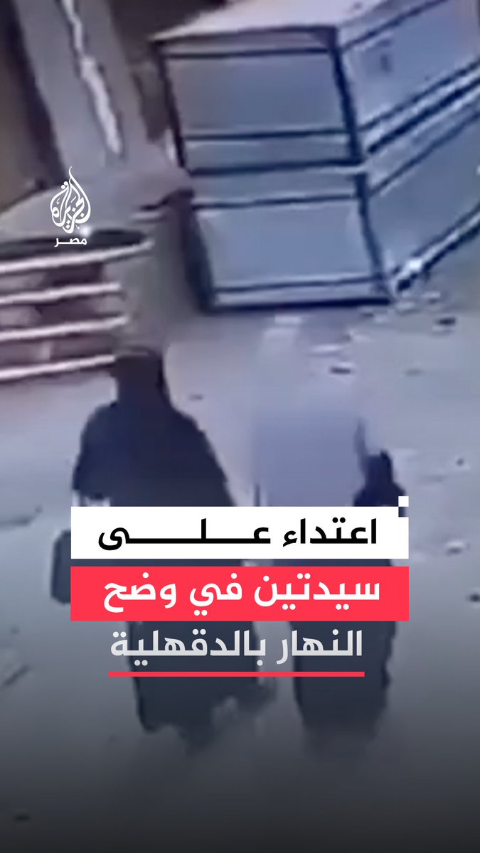 كاميرا مراقبة ترصد لحظة اعتداء شخص على سيدتين بسلاح أبيض في قرية الروضة بالسنبلاوين في الدقهلية