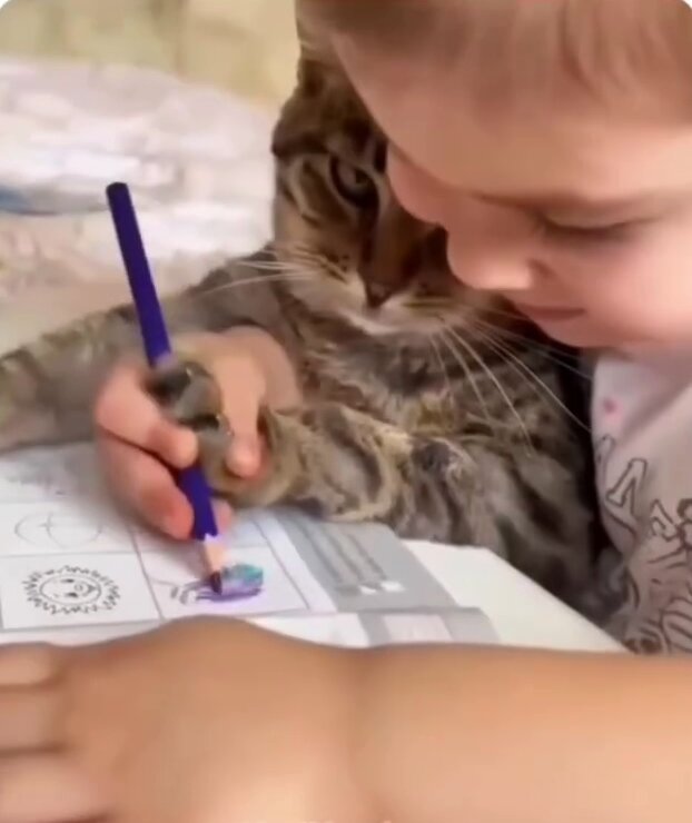 Cat's Patience with Babies