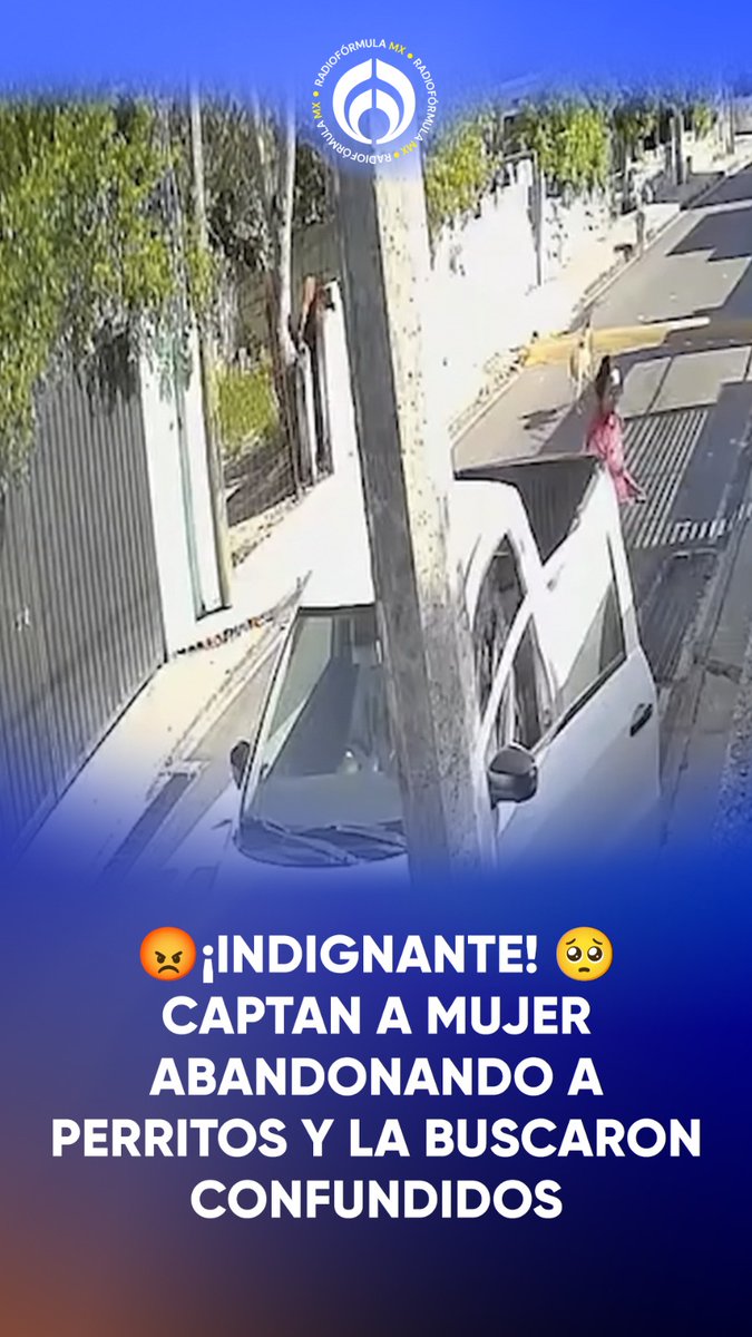 😡¡Indignante! 🥺 Captan a mujer abandonando a perritos y la buscaron confundidos