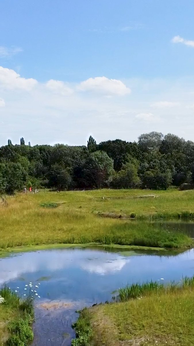 Following tough action by the Environment Agency, water companies have paid a record £8.5 million into projects to restore rivers, wildlife and habitats. This money will be reinvested directly where damage has occurred. Find out more: