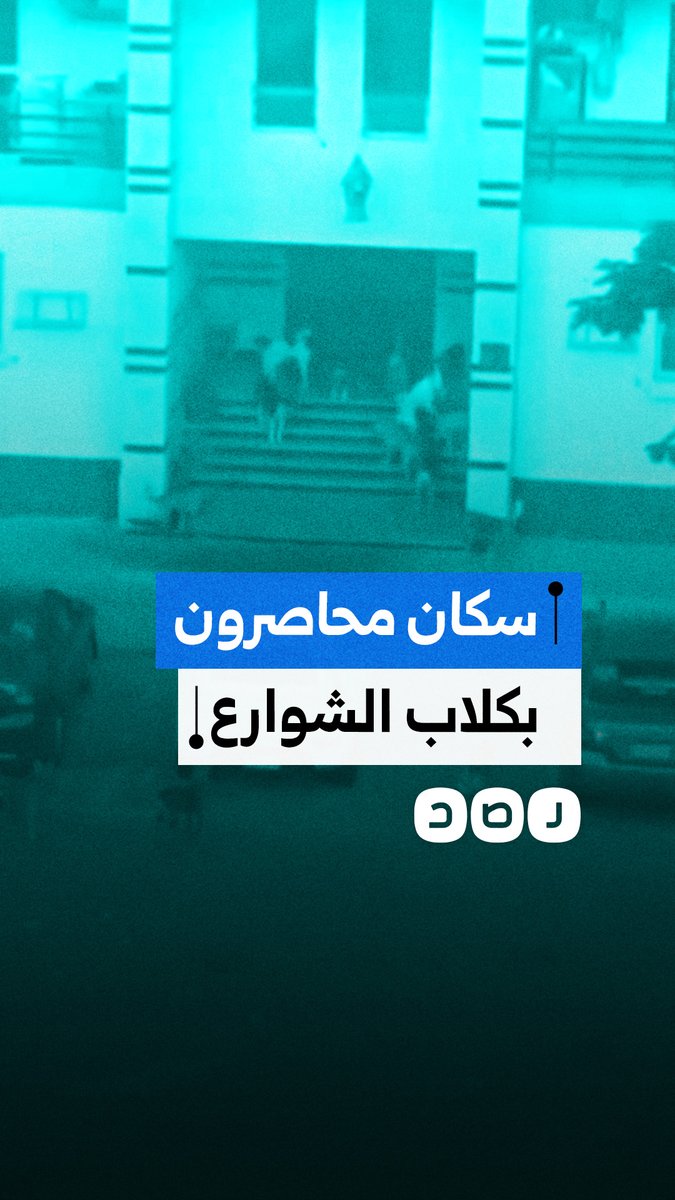 سيدة توثق تجمع عشرات الكلاب أمام مدخل عقار سكني ومنع الأهالي من الدخول والخروج