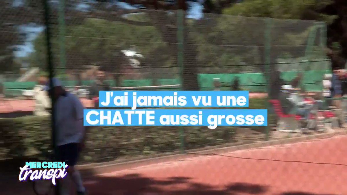 Je ne m'en lasserai jamais. 🤣 Henri Crutchet, 87 ans, 15/5, légende absolue du tennis sénior, le GOAT, fissure au tournoi ITF Seniors +80 ans d'Arcachon en 2018. Aujourd'hui, Henri a 95 ans et il matche toujours ! Il est n°2 mondial en +90 ans ! 👑