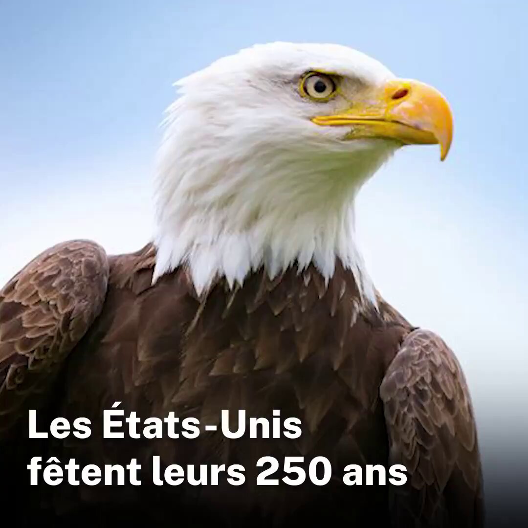 En 1776, les États-Unis signent leur Déclaration d’indépendance, avec le soutien de la France, obtenu par le 1er diplomate américain, Benjamin Franklin. 250 ans plus tard les valeurs de liberté américaines inspirent des gens du monde entier. 📡 Notre porte-parole Phillip Assis