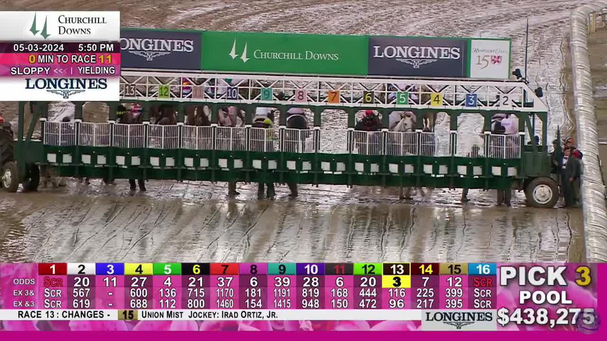2024 Kentucky Oaks - Thorpedo Anna She was a true champion, an absolute monster. Crushed this field, 10 days away from the Kentucky Oaks! Enjoy