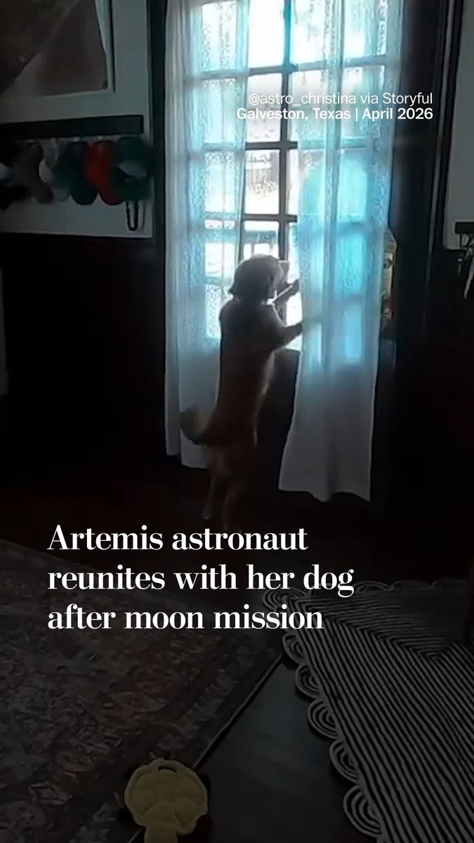 When most dog owners leave for work, they're just a short commute away from their pets. But when Artemis II astronaut Christina Koch returned to her dog Sadie, it was after flying more than 248,655 miles from Earth in a voyage around the far side of the moon.
