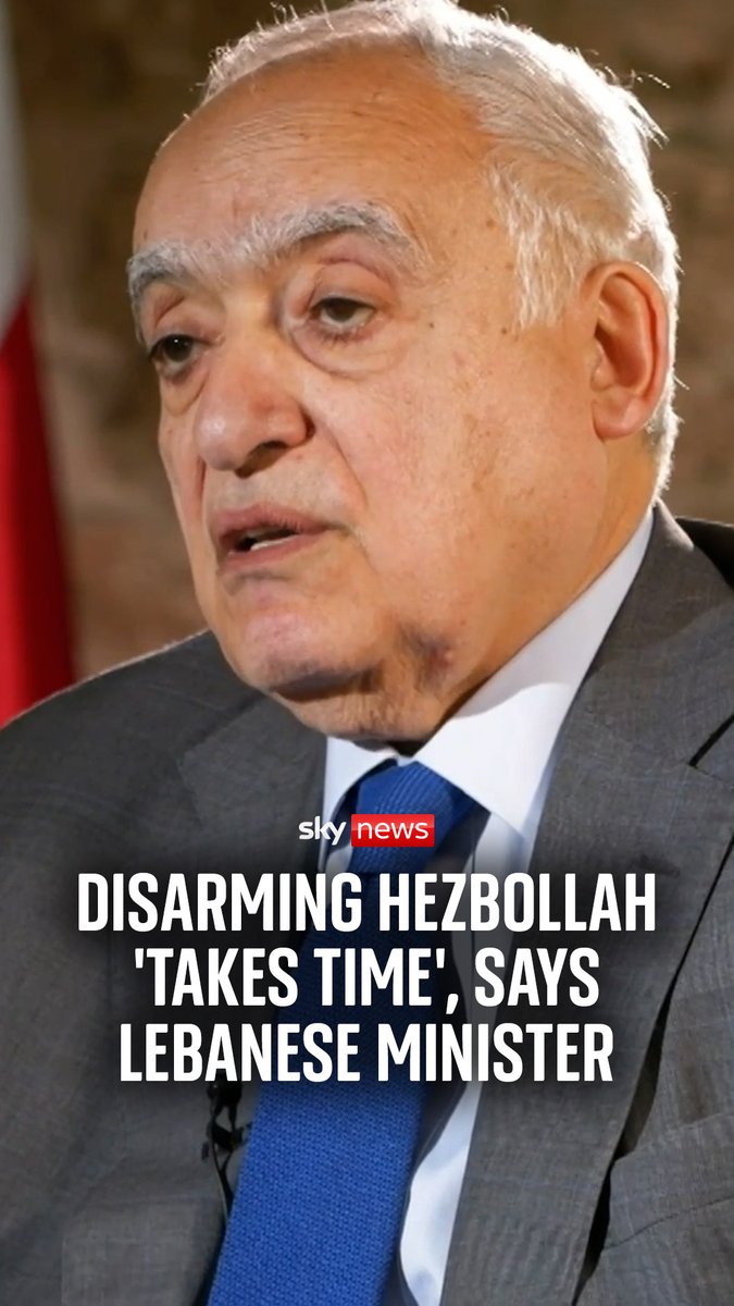 Sky's Yalda Hakim sat down with Lebanese culture minister Ghassan Salame, and he told her while the Lebanese government is "on that road" to disarming Hezbollah, it will need "time".
