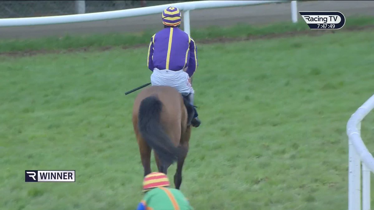 A ready win for Thelittleballerina in the finale Clonmel Races 🩰