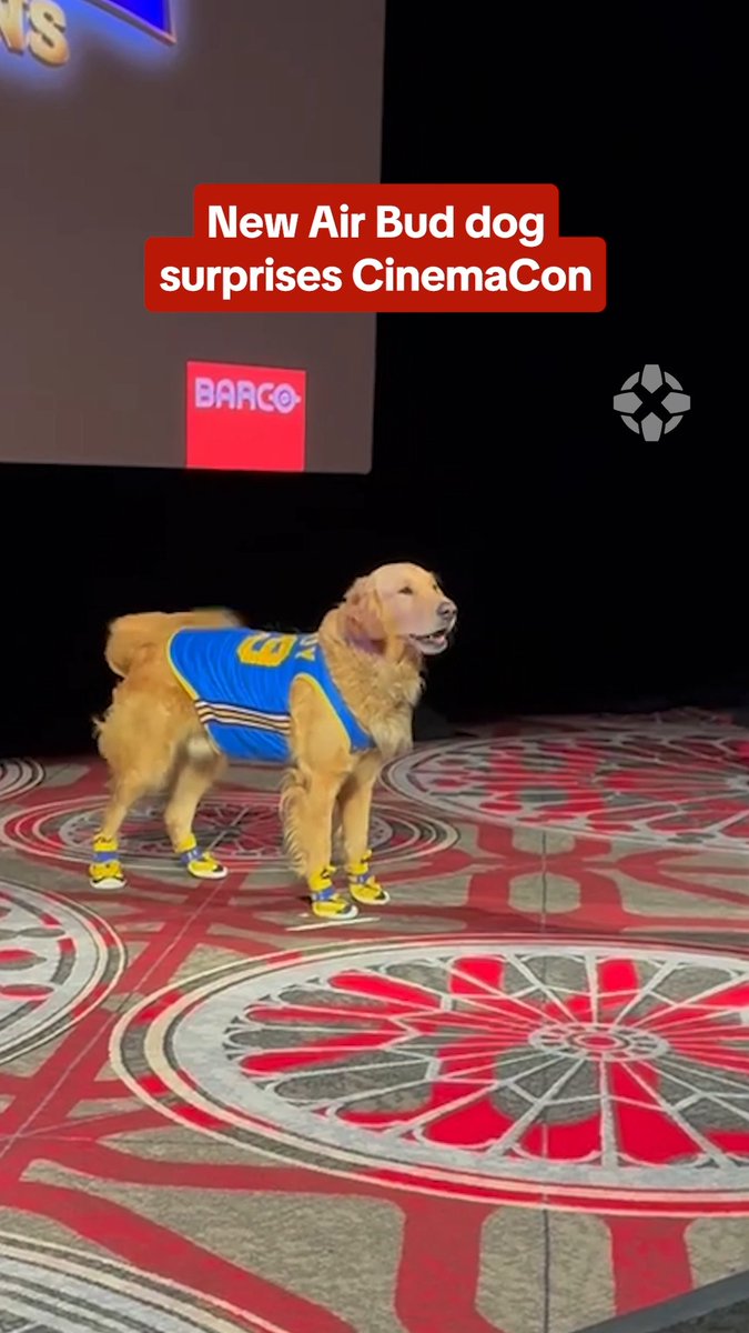 Air Bud himself appeared during a #CinemaCon2026 presentation and Air Bud Returns director Robert Vince translated for him: