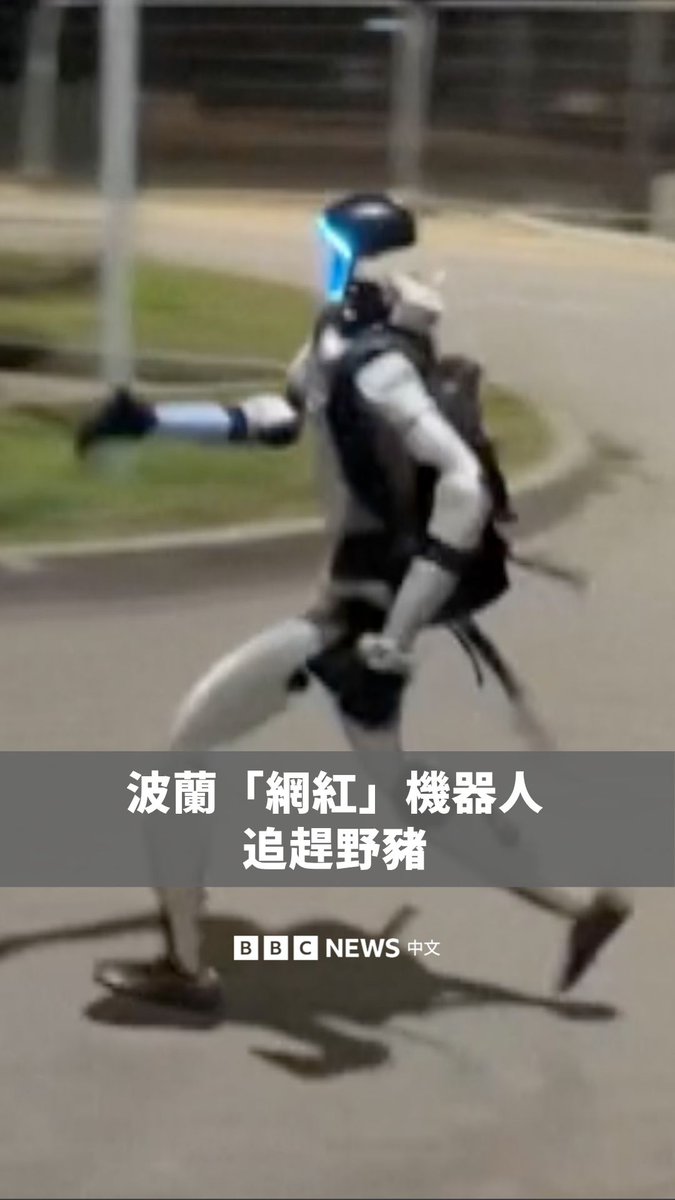 网红机器人“爱德华‧瓦尔霍基”（Edward Warchocki）是一台在网路上爆红的人形机器人，由一名波兰科技企业家所拥有。该机器人近日出现在波兰首都追赶野猪，还向牠们大喊“走开”。