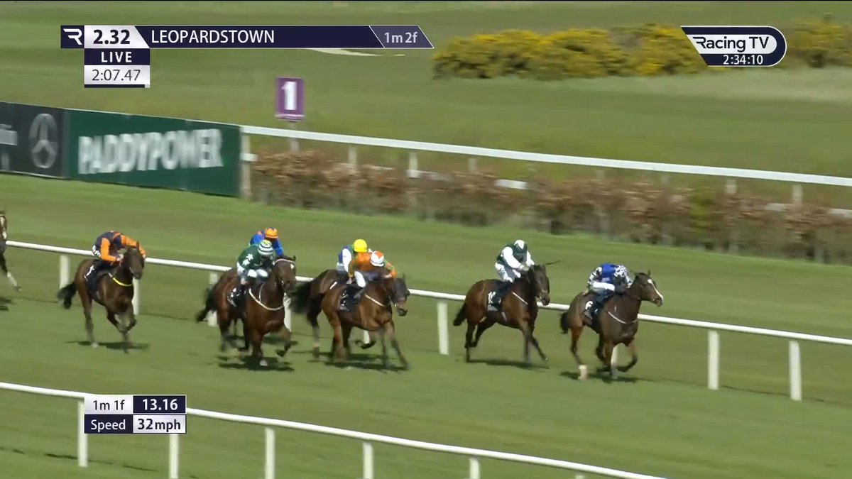🎼 "𝐃𝐨𝐦𝐢𝐧 𝐎𝐇 𝐇𝐎𝐎 𝐇𝐎𝐎" Take a bow, Jerry 🤣 Leopardstown RC