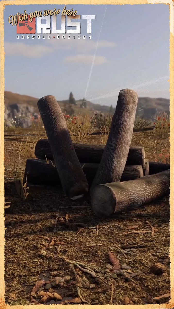 Woodpile spotted! Wait a minute...👀