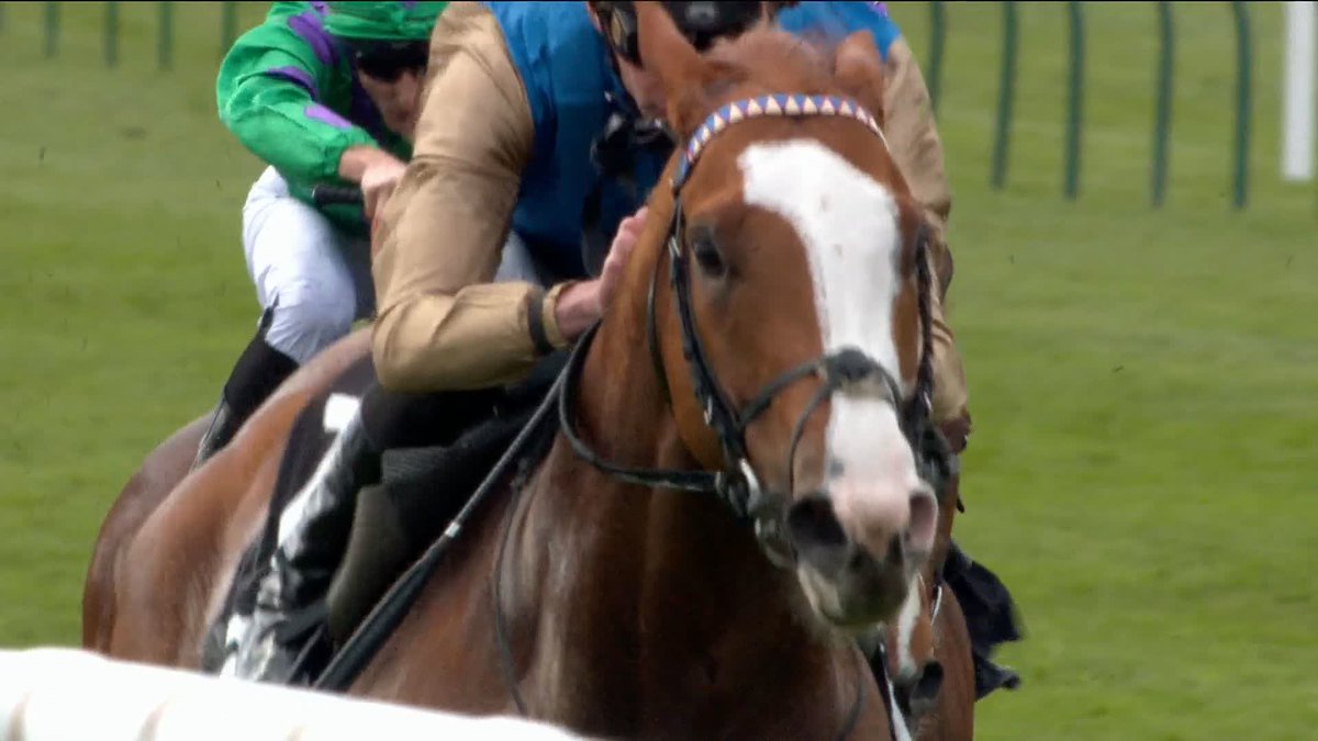 "He's got GEARS!" ⚙️ Damysus has an entry in the Lockinge 👀 James Doyle | Thady Gosden