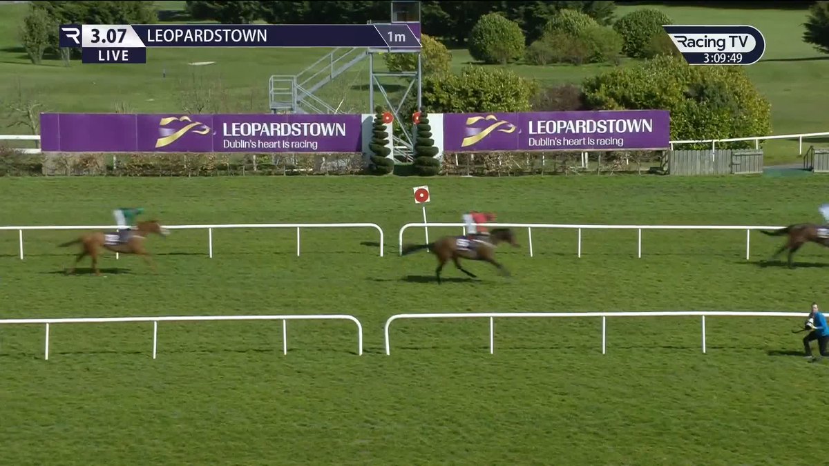 🦁 The Lion In Winter makes a winning return in the Listed feature to lead home a 1-2 for Ballydoyle Leopardstown RC