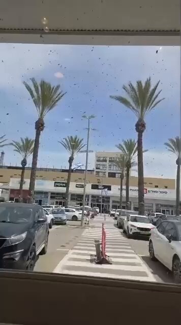 🚨🇮🇱 Meanwhile in Israel A huge Bee Swarm with thousands of bees, have forced Israeli residents inside to take cover. God is angry.