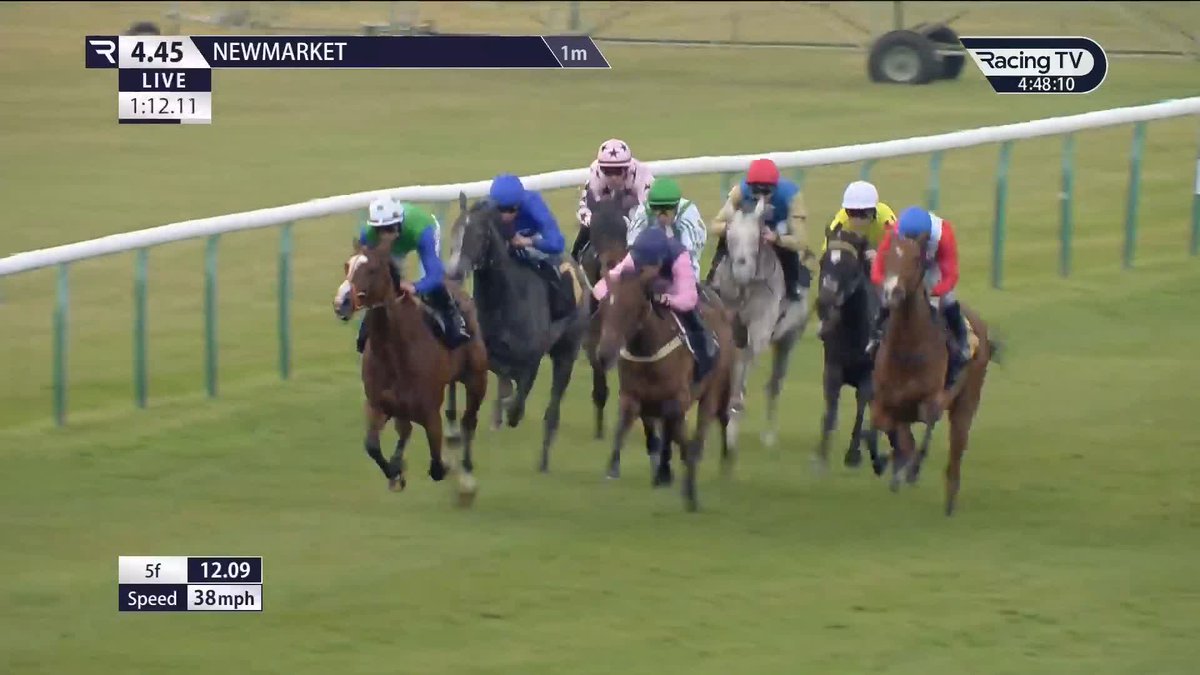 Kingman x Queen's Trust The beautifully-bred So Regal justifies strong support to score on her return for Ryan Moore, the Gosdens and Cheveley Park Stud Newmarket Racecourse