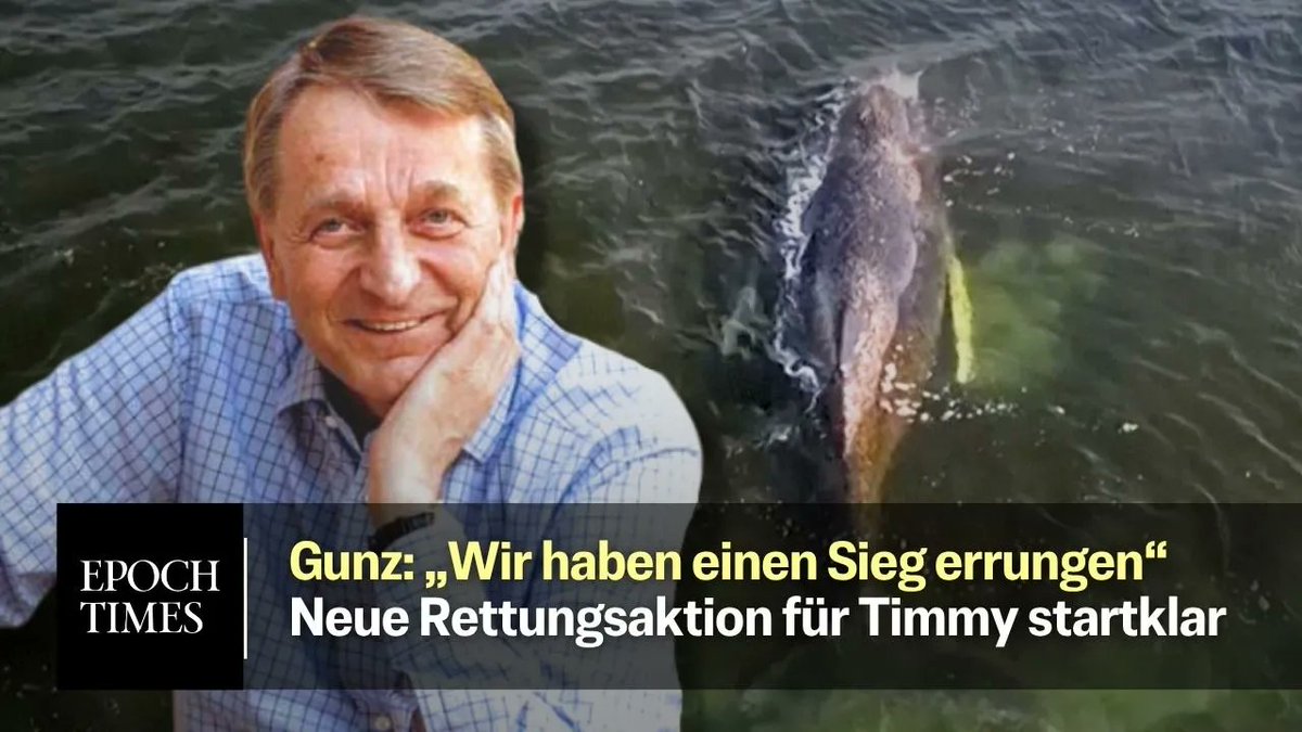 Im Fall von Wal Timmy gibt es eine neue Wendung. Das Umweltministerium von Mecklenburg-Vorpommern unter Minister Till Backhaus (SPD) hat grünes Licht für einen neuen Rettungsversuch gegeben. Dieser soll morgen früh beginnen. Die Epoch Times wird vor Ort auf der Ostseeinsel Poel sein und berichten. Am Vorabend der Rettung sprachen wir mit MediaMarkt-Gründer Walter Gunz. Der erneute Rettungsversuch begann mit der Ankündigung von Gunz in der Epoch Times, eine solche Aktion zu finanzieren. Zahlreiche Konzepte wurden unserer Redaktion zugeschickt und von einem Team ausgewertet. Nach anfänglicher Ablehnung meldete sich Minister Backhaus persönlich bei Gunz. Nach zahlreichen Gesprächen gab er nun grünes Licht für die neue Rettungsaktion.