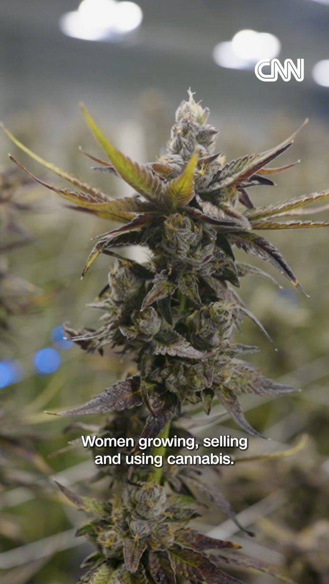 “Weed 8: Women & Weed” airs THIS Sunday. In the eighth installment of our "Weed" documentary series, we're diving into how women are now one of the fastest-growing segments of cannabis users in the US.