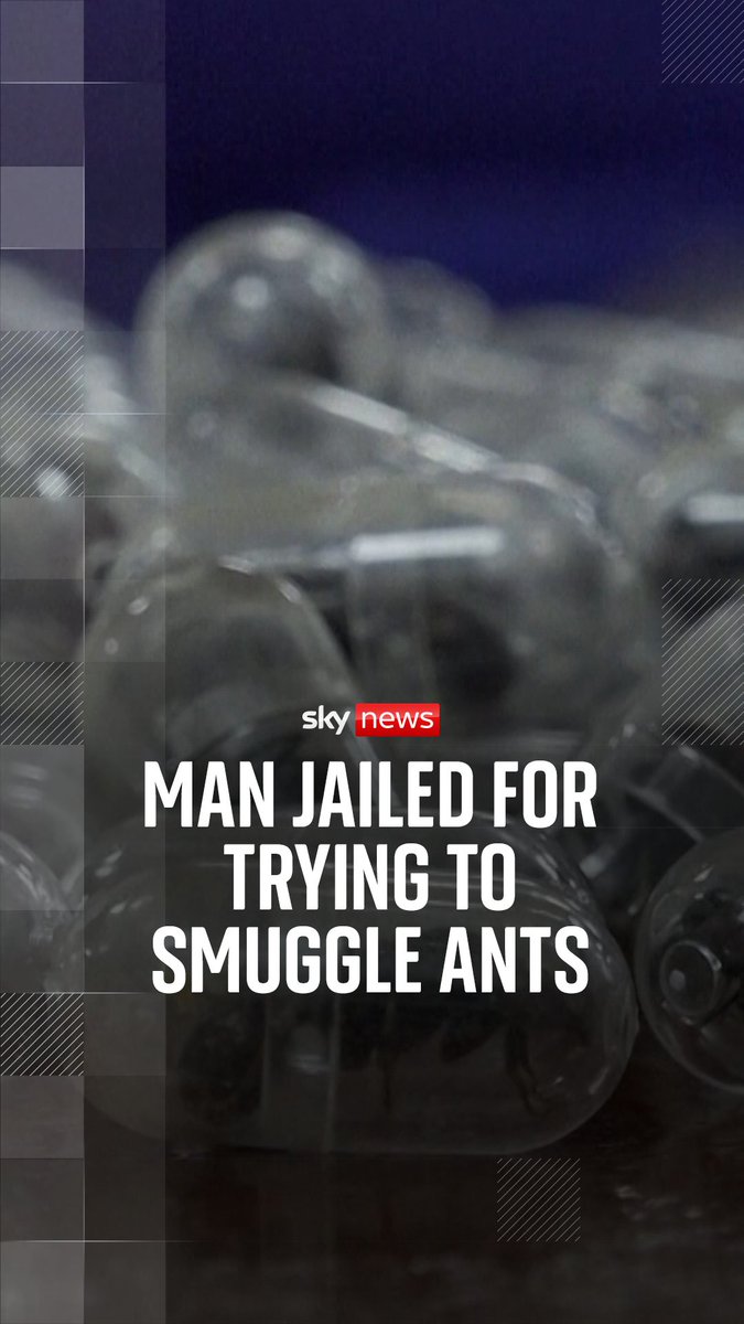 Chinese national Zhang Kequn was arrested last month at Nairobi's main international airport with more than 2,200 ‌live garden ants in his luggage. Zhang's lawyer said he would appeal against his sentence