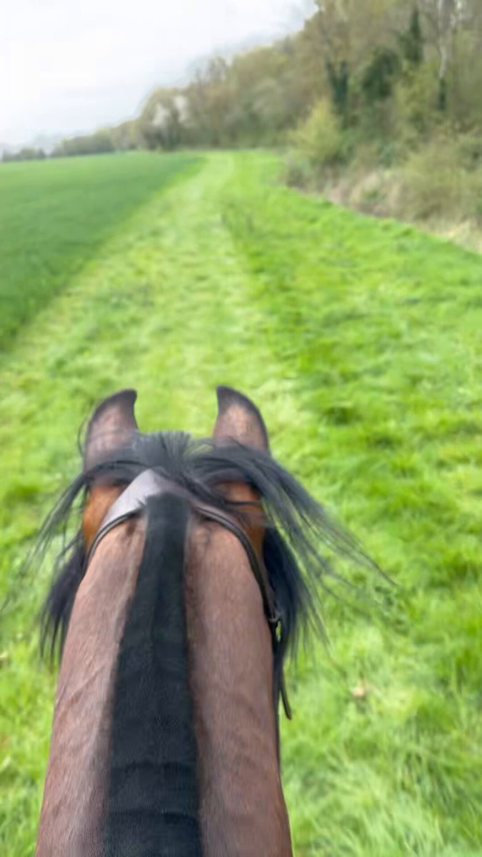 🗣️“Has Steve ever rode a horse? The way he was commenting sounded like he would know which I find hard to believe.” 🏇🏿Steve twice a week for the past 5 years…. 👇