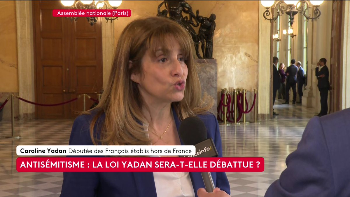 🔴 "Ma loi ne va pas restreindre la liberté d'expression, ma loi ne va pas empêcher la critique d'Israël, ma loi ne va pas museler la défense du peuple palestinien", affirme Caroline Yadan, députée des Français établis hors de France. #canal16