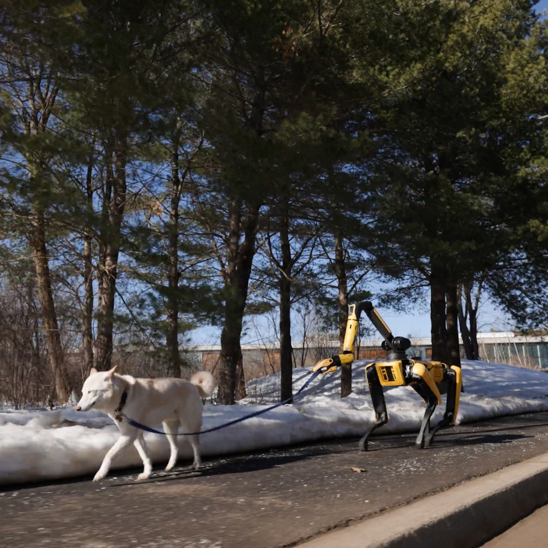We teamed up with Boston Dynamics to power their robot Spot with Gemini Robotics embodied reasoning models. This means it can better understand its surroundings, identify objects and follow simple commands - like tidying up a room.
