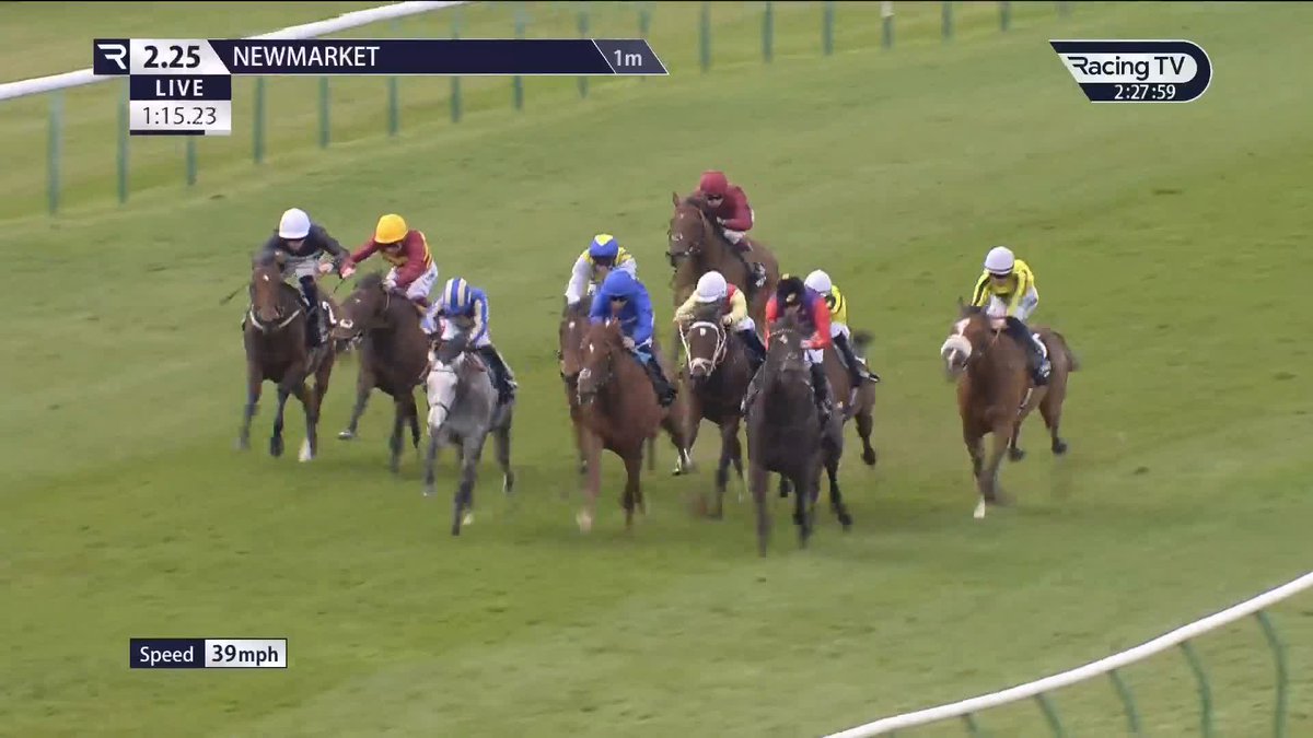 👑 A nice one in the Royal silks Portcullis hoses up in the Wood Ditton