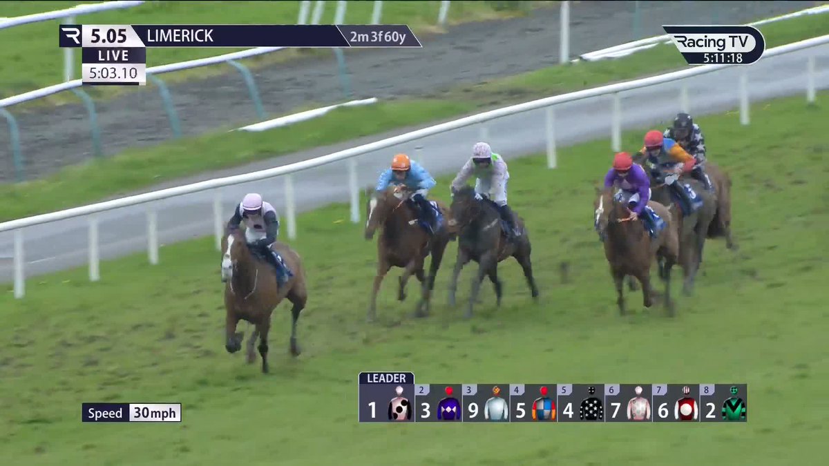 Remember the name people! โญ๏ธ ๐ SPARKLING WIT a brother to Cheltenham Gold Cup Winner Gaelic Warrior just won on debut for Willie Mullins.