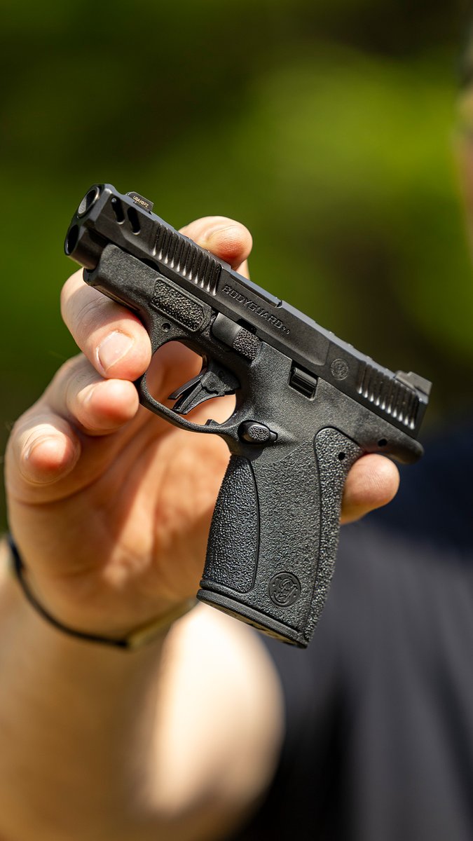 Bodyguard 2.0 PC What is your favorite small pistol?