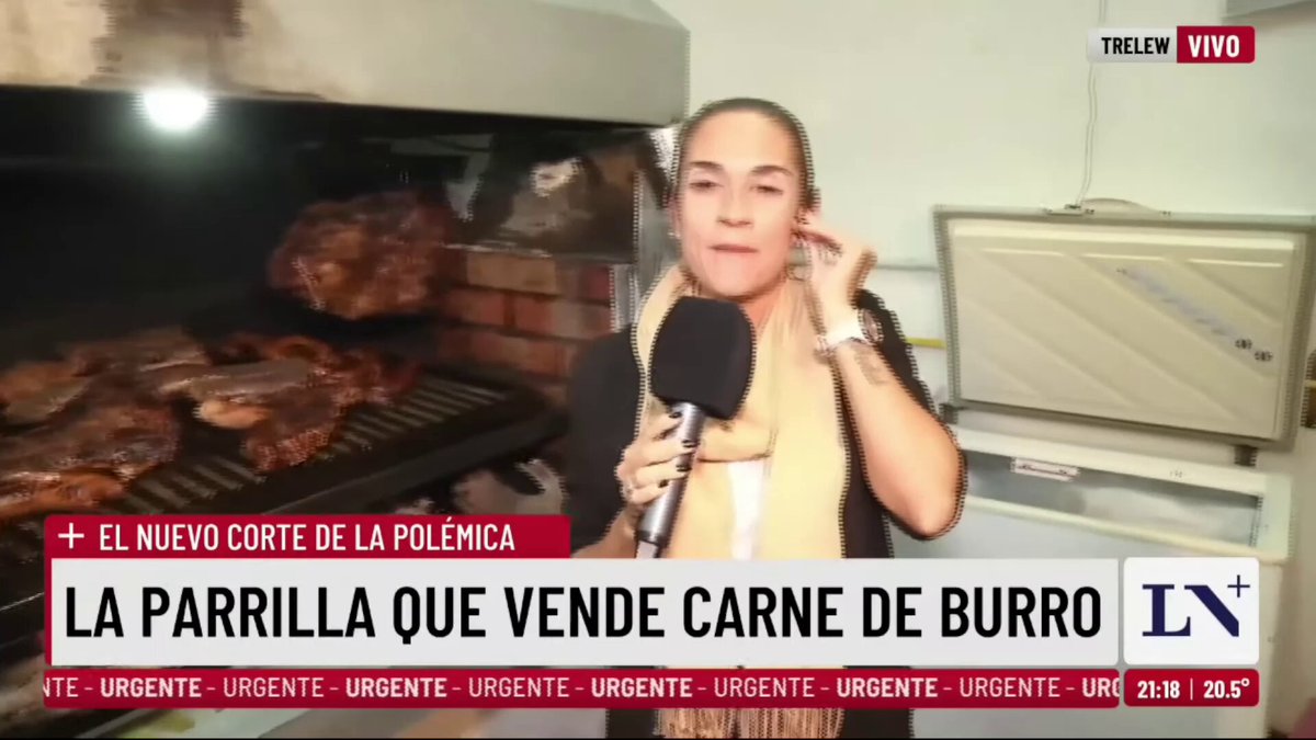 Luis Majul y Trebucq promocionando la CARNE DE BURRO en televisión. Quieren que seamos Zambia. Son todos unos ensobrados HIJOS DE PUTA "Yo le entro como loco!" "Los que probaron dicen que está buenísimo" "Yo la veo eh, no tengo ningún problema"