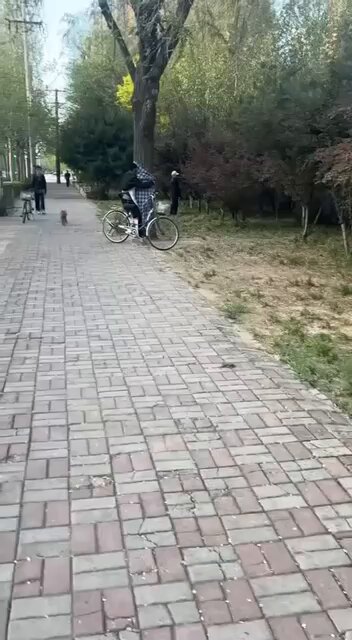 不懂就问，这是什么健身方式？🤣