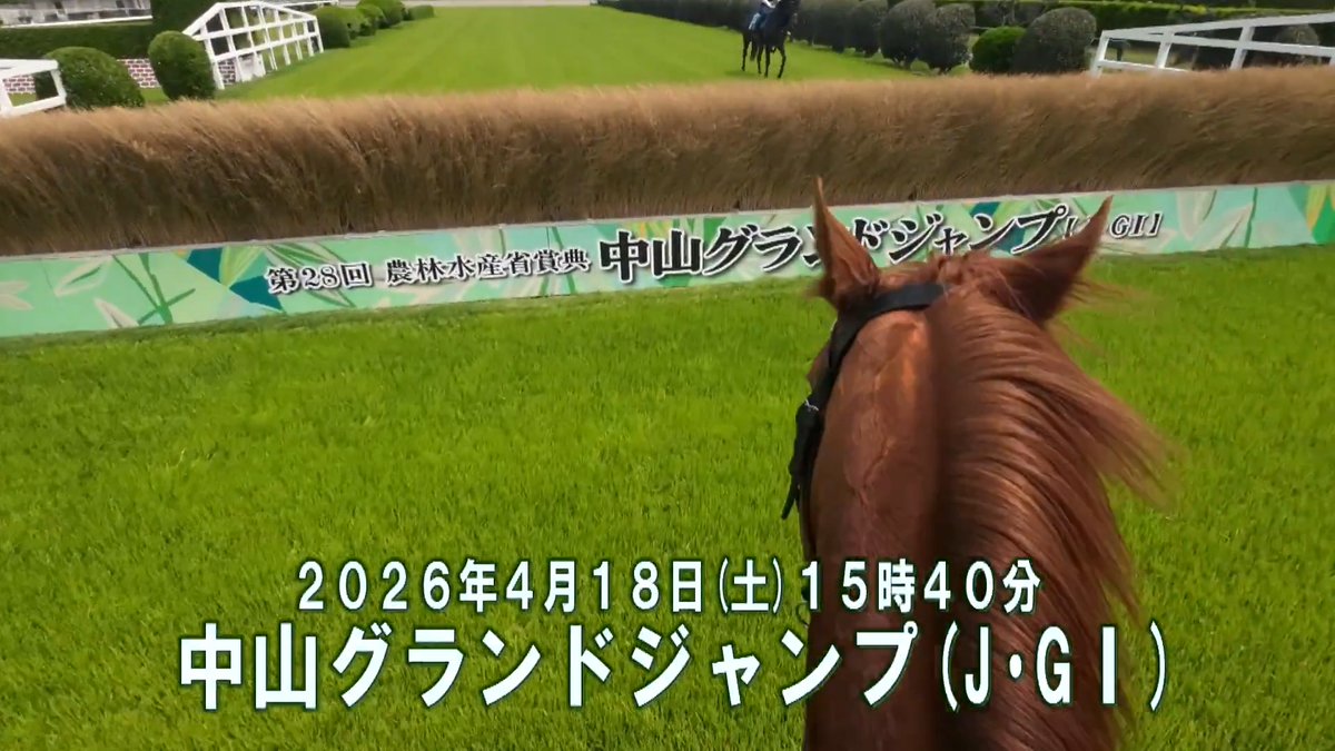 #中山グランドジャンプ のスクーリング映像を公開🎥 明日4月18日（土）に開催される中山グランドジャンプ（J・GⅠ）のスクーリングの様子を騎手目線のカメラでお楽しみください✨ 動画の後半には騎手のインタビューも👀