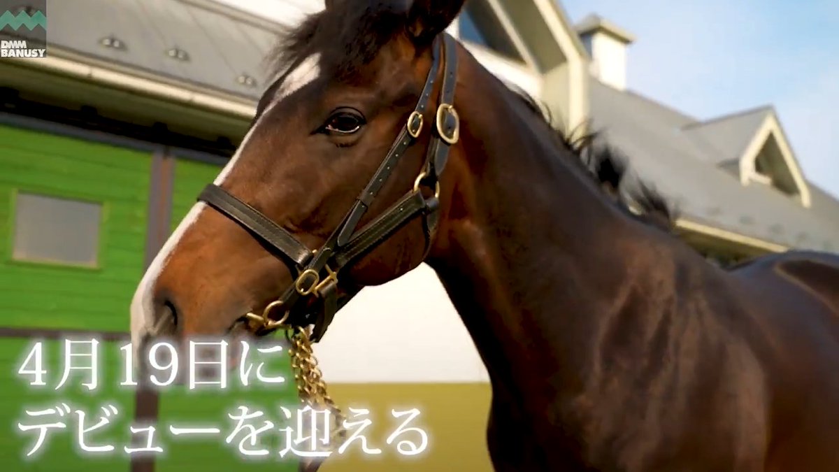 ファイナルコマンド が 4月19日(日) 阪神競馬場 第1レース 3歳未勝利 (ダート1800m、09:50発走)でデビューします！ デビュー戦の前にスペシャル動画をぜひご覧ください！ #BanusySpecialMovie #バヌーシー