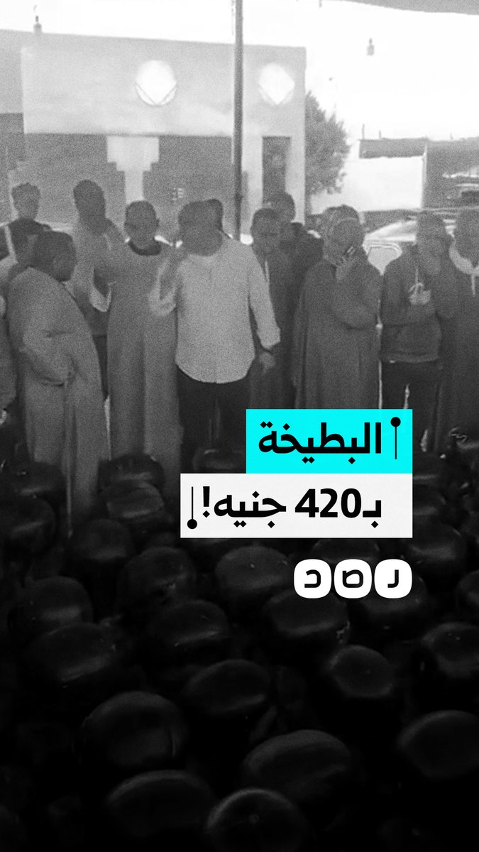 سعر البطيخة يصل إلى 420 جنيهاً في أحد مزادات سوق العبور