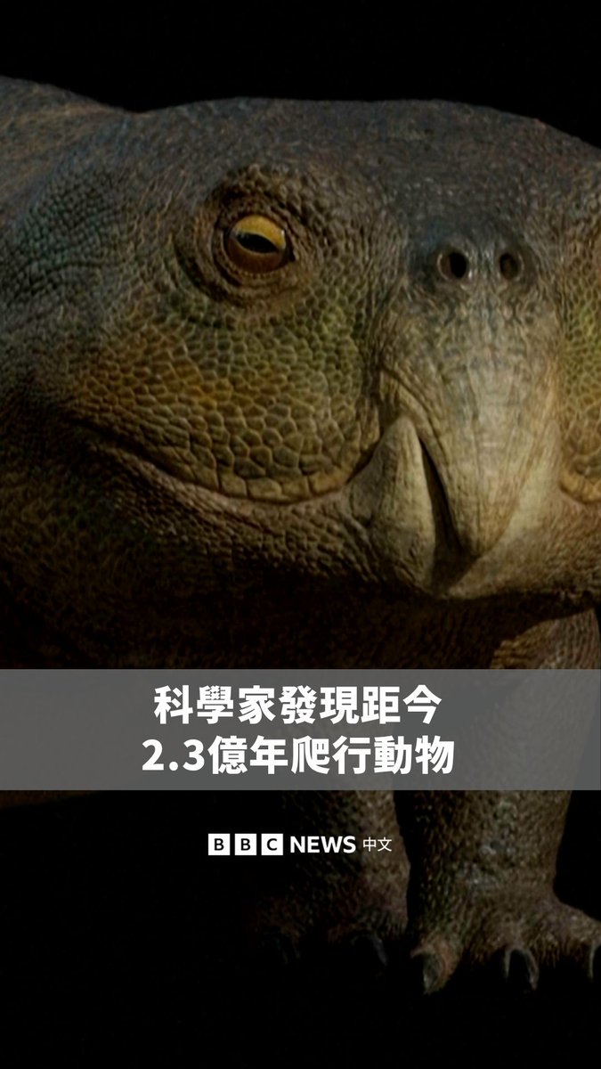 巴西一个研究团队在当地发现一种距今约2.3亿年的爬行动物。该物种被命名为“伊索达佩顿‧瓦泽阿利斯”（Isodapedon varzealis），依据的是一具于2020年在阿古多市出土的化石头骨。 研究人员指出，这种四足、草食性爬行动物属于喙头蜥类群，体长估计约1.2至1.5公尺。其独特、类似鹦鹉的喙部，可能用于切割植物并挖掘根部。 亲缘分析显示，该物种与在苏格兰发现、年代相同的喙头蜥具有高度相似性，推测因当时各大陆仍相互连结，动物得以在广阔的陆地上自由迁徙。