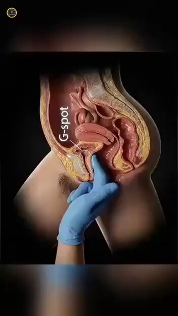 The G-spot is there for those who aren't in the know 🙄 You'll thank me later 🫡😁😁😁