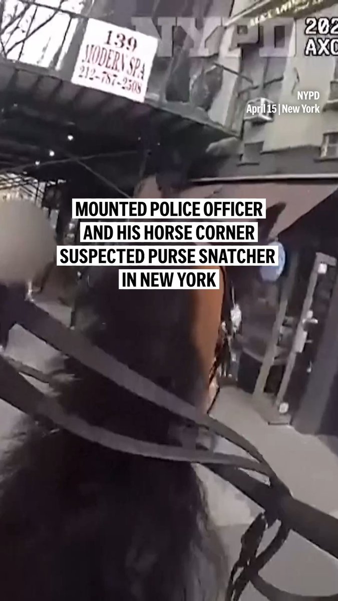 A suspected purse snatcher was rounded up after being chased through the streets of Manhattan by a mounted New York police officer and his horse.
